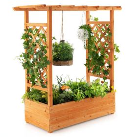 Raised Garden Bed with Trellis or Climbing Plant and Pot Hanging-Natural